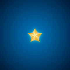 Obraz premium Golden Star vector. Christmas Stars. Isolated badge for website or app - stock infographics