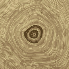 Cross section of tree stump background texture, vector Eps 10 illustration