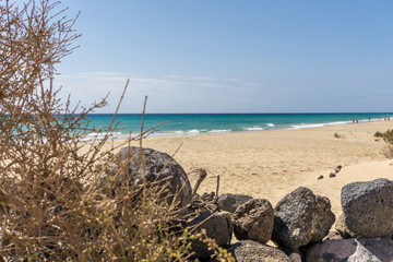 Beach with green shrubs and a blue sky