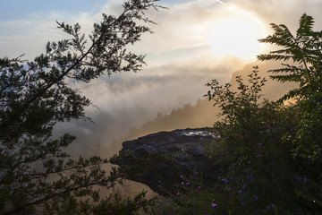 Smokey fog lifting during sunrise at the edge of the cliff, Thatcher Park