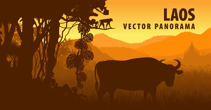 vector panorama of Laos with gaur and monkey in jungle