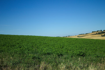 Obraz premium Fields and Hills in Marche (Pesaro, Italy)