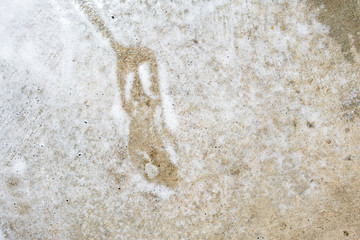 Abstract white foam flow with water on dirty concrete floor for texture background