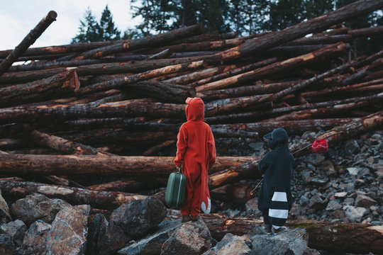 Kids dressed up like fox and raccoon staring at pile of clearcut logs