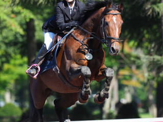 Obraz premium 馬術大会