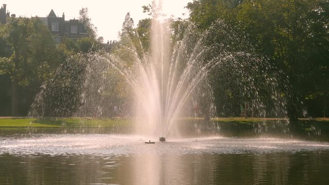 Fountain in a park