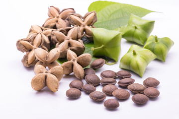sacha inchi, sacha peanut, mountain peanut, Inca nut or Inca-peanut isolate on white background