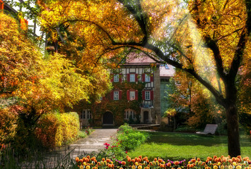 Obraz premium Goldene Herbststimmung im idyllischen Garten