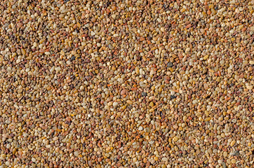 Pebble, stone, rock floor.  Textured finish on this detailed pattern. Perfect for background or backdrop.