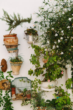 Potted plants mounted on a wall on an Andalucian house.