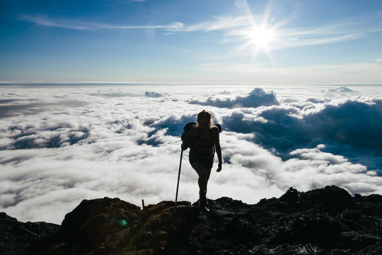 The Climber