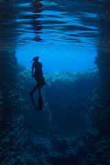 Free Diver