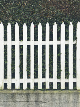 White picket fence in front of green hedge