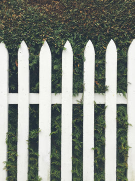 White picket fence in front of green hedge