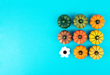 Decorative pumpkins on trendy blue background with fall leaves.