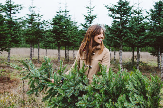 Beautiful young woman carry christmas tree in wooded field in the winter.