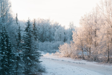 winter landscape - light and dark