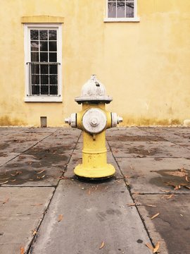 Yellow Fire Hydrant