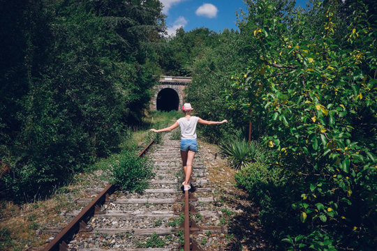 The train