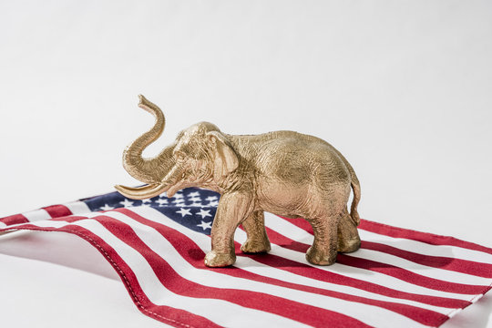 Republican Candidate Forerunner Dipped in Gold