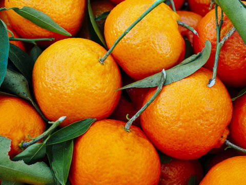 Mandarins with stems and leaves