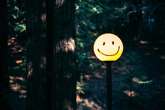 Smiley face painted on a yellow light in the forest