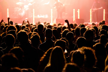 Fototapeta na wymiar crowd in a concert