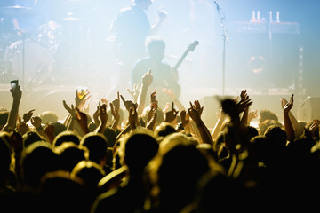 A crowd in a concert and a guitarist in the background