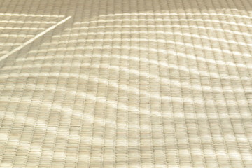 Natural light and tatami over the lattice