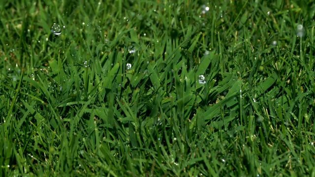 Watering Grass Close Up Super Slow Motion 2000fps