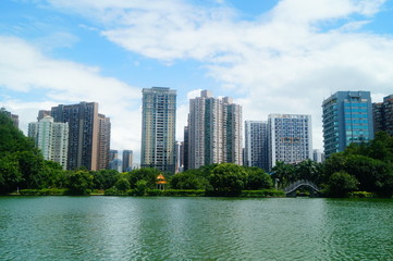 Beautiful lake views, shore plants, trees, etc