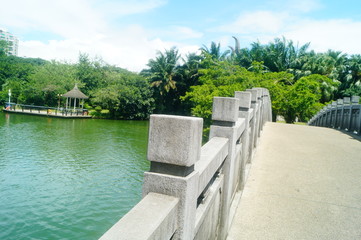 Beautiful lake views, shore plants, trees, etc