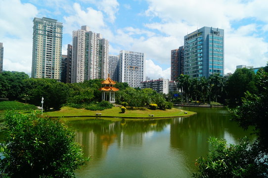 Beautiful lake views, shore plants, trees, etc