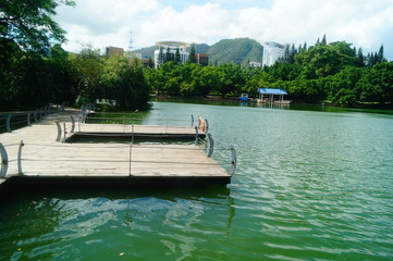 Fototapeta premium Beautiful lake views, shore plants, trees, etc