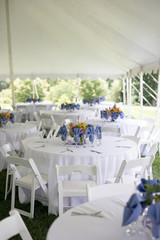 Wildflower Wedding Centerpieces with Black Eyed Susans, Snapdragons, and Delphinium on a Reception Table with White Tablecloth