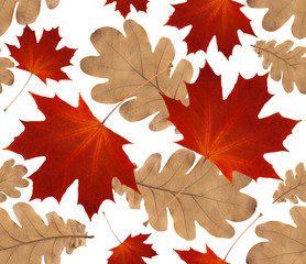 Fototapeta premium autumn seamless pattern