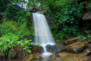 Beautiful waterfall in green forest in jungle , Thailand