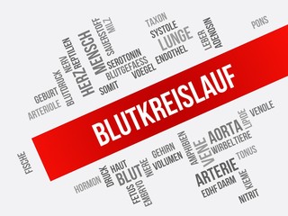 Blutkreislauf