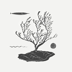 Illustration of marine life