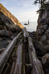 Fototapeta na wymiar Landscape view on the logs laying on the rocky shore between the cliffs. Picture taken in Whytecliff Park, West Vancouver, British Columbia, Canada, on a beautiful sunny day.