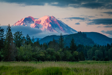 Mt. Ranier viewed from a meadow.