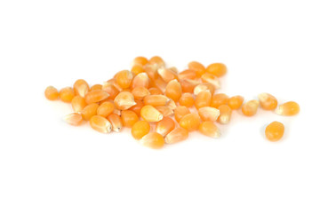 Corn kernel on white background - isolated
