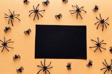 Black blank paper card with decorative spiders on orange background. Halloween background.