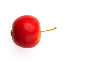 Red apples are placed on a white background.