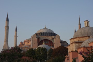 Fototapeta na wymiar Mosque Istanbul