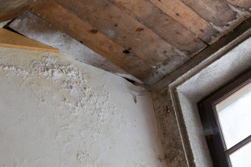 Water damaged ceiling and wall