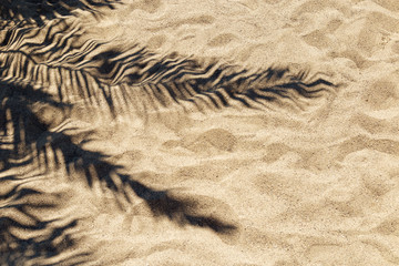 Fototapeta na wymiar Shadow of a palm leaf on the sand on a hot sunny day. Texture of fine sand.
