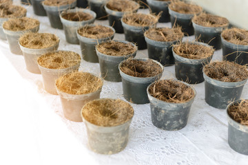 More black plastic flowerpot with soil preparation for planting