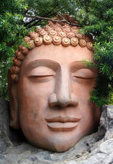 Statue of Head of Buddha in a park