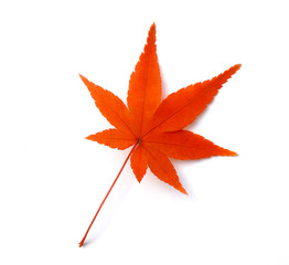 秋のイメージ:紅葉